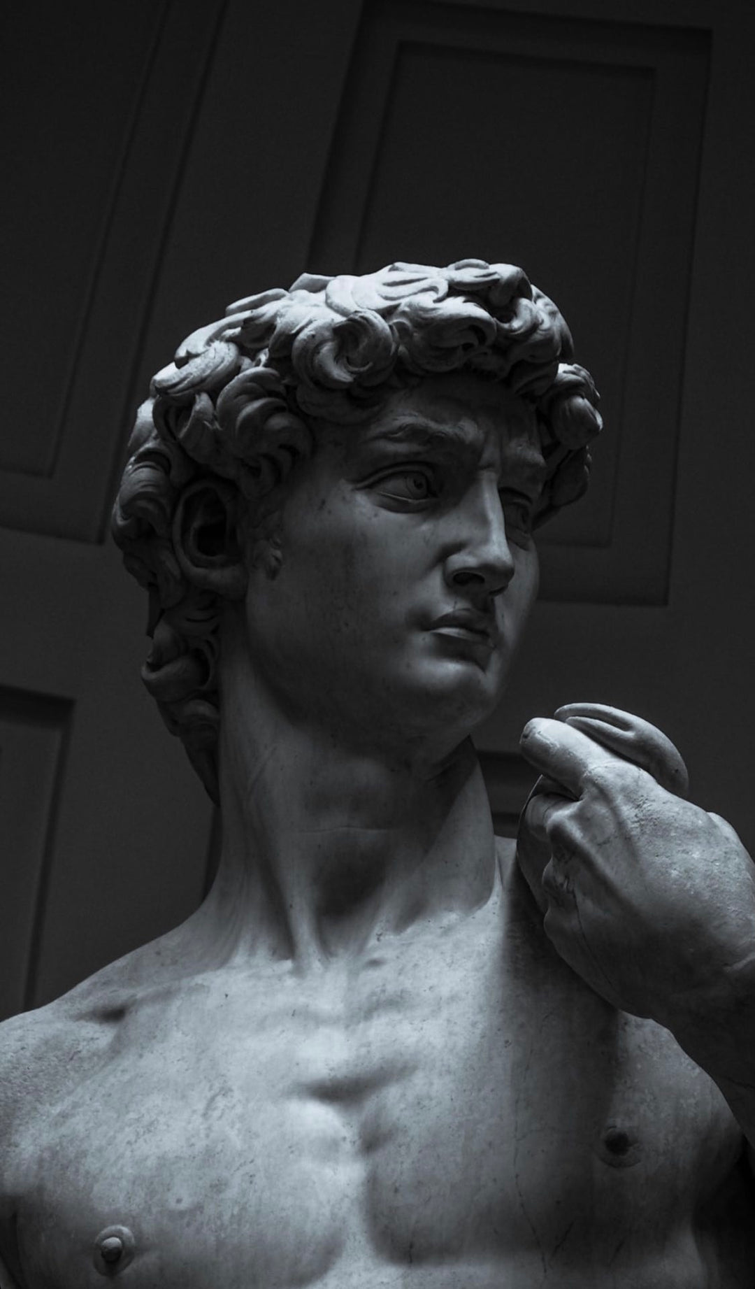 Michelangelo's statue of David