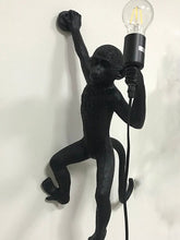Load image into Gallery viewer, LT #016
