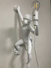 Load image into Gallery viewer, LT #016
